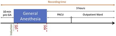 Selection of the Best Electroencephalogram Channel to Predict the Depth of Anesthesia